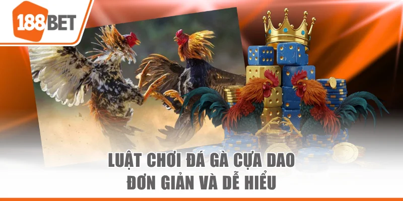 Đá Gà Cựa Dao Mang Đến Những Trận So Tài Kịch Tính Nhất Luật chơi đá gà cựa dao đơn giản và dễ hiểu